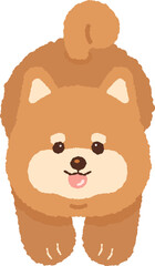 cute brown shiba inu shibainu dog puppy character