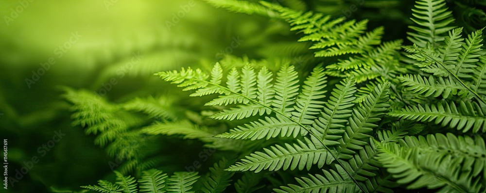 Poster micro foliage idea. lush green ferns creating a serene and natural atmosphere in a vibrant forest.