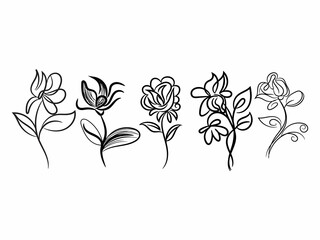 Hand drawn flowers collection