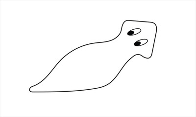 simple outline of planaria