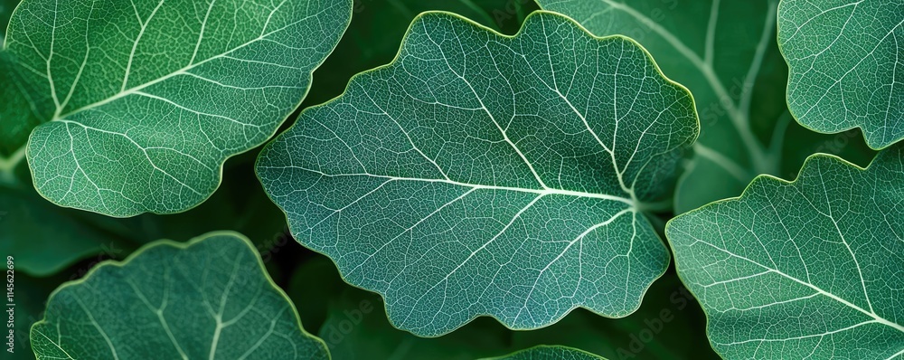 Aufkleber micro foliage idea. close-up view of vibrant green leaves showcasing intricate textures and patterns