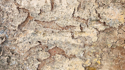 Naklejka premium Cracked Earth Texture: Arid Landscape Details 