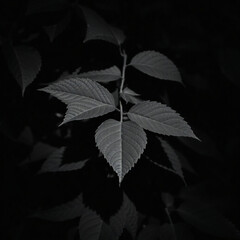 Corners with green leaves