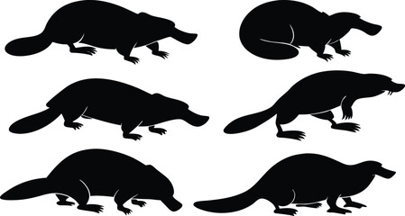 Platypus silhouette vector set in some of different style using black color illustration design