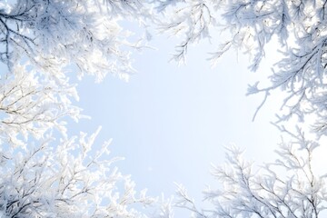Frost-Covered Branches Against a Blue Sky