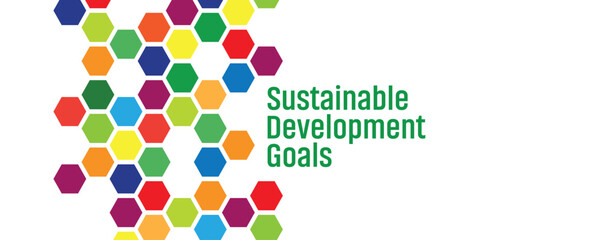 Sustainable Development Goals sign on white background	