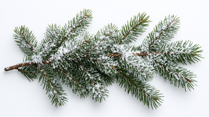A clean, white Christmas background with scattered snowflakes and a softly placed Christmas tree branch, ideal for a calm holiday celebration.