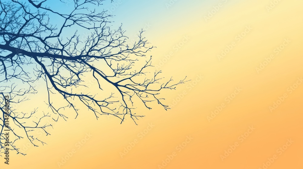 Poster silhouette of bare tree branches against a sunset sky with a gradient from blue to yellow creating a