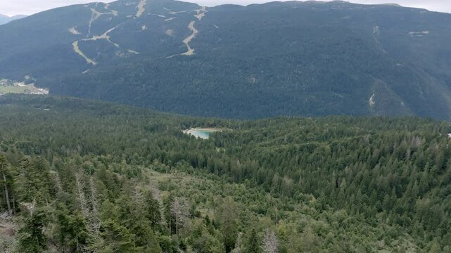 Aerial footage flying over the forest with a small lake Laghetto Multiuso - Pradel in the background by the town of Molveno Italy.