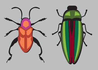 state potato beetle isolated