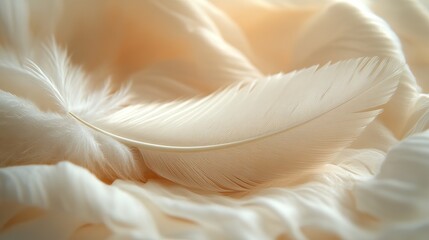 A soft feather, possibly from a bird, is captured in a closeup, highlighting its delicate texture and potential for creative design use.