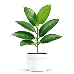 Vibrant Green Indoor Plant in White Pot for Home Decor and Design