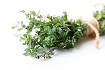 fresh green Thyme herb plant