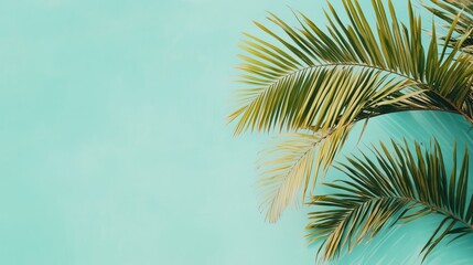 Palm leaves sway against a turquoise sky and white wall, blending nature with tranquil design.