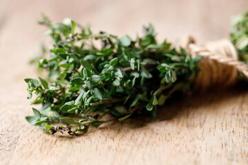 fresh green Thyme herb plant