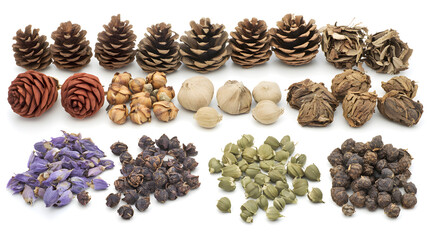 Obraz premium A collection of various dried botanicals including pine cones, flower buds, seeds, and spices, arranged neatly on a white background. Ideal for aromatherapy, crafts, or culinary uses.