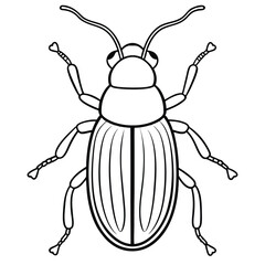 Bark Beetle insect flat vector illustration on white background