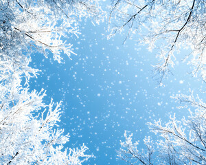 Snow-Covered Branches and Falling Snow Against Blue Sky