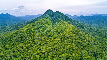 Obraz premium Aerial view of lush, green mountains surrounded by dense rainforest, showcasing the beauty of nature and landscape in an untouched environment.