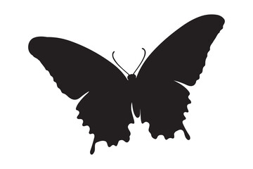 Black Butterfly Silhouette Set Vector illustration