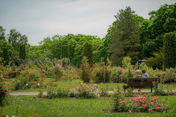 senior couple sitting on bench in park