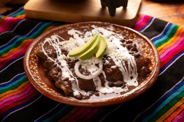 Enfrijoladas. Corn tortillas dipped in bean sauce, covered with cream and cheese, they can be covered or filled with chicken meat, cheese or some other ingredient. Traditional Mexican dish.