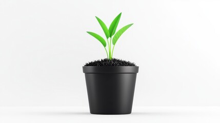 Obraz premium A small green plant sprouts from black soil in a simple black pot, highlighting growth and the beauty of nature against a white background.