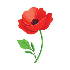 Obraz premium Single poppy flower vector art illustration.