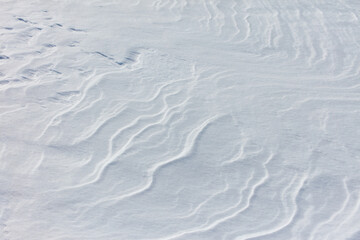 The snow is white and the ground is covered in it