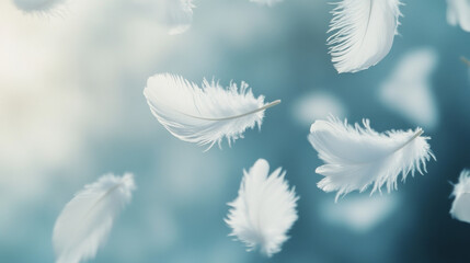 Naklejka premium White soft feathers isolated on transparent background. Down or plume from wings of birds or angel, symbol of softness and purity. Realistic design elements, 3d vector illustration, icons set