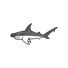 hammer shark on a white background