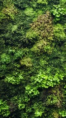 Obraz premium Background. green. photoshop textures. Ultra realistic. Photorealistic