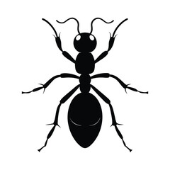 Ant silhouette vector art illustrator.