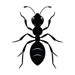 Ant silhouette vector art illustrator.