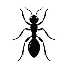 Ant silhouette vector art illustrator.