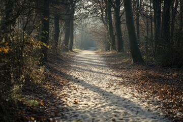 Obraz premium Serene sand-covered path through a tranquil forest in autumn nature photography peaceful environment capturing natural beauty