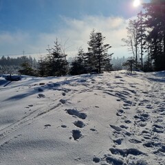 beautiful snowy landscape in a snowy winter with snow-covered trees in austria