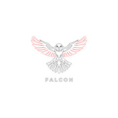 A Hand Drawing Of Falcon