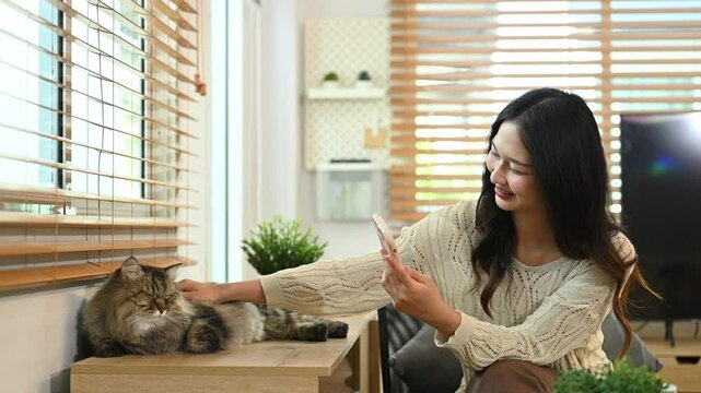 Beautiful young woman taking a photo of her fluffy cat lounging on a wooden table in living room