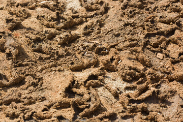 Natural cracked soil, dry and arid