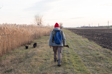 Mature hunter man holding a shotgun and walking through a field
