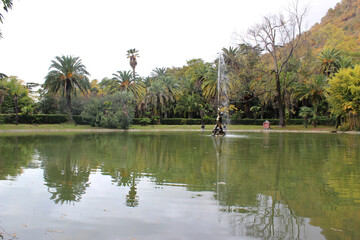 Old park in the fall. Gagra, Abkhazia	