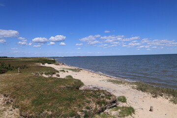 Blick auf die Braderuper Heide auf der Nordseeinsel Sylt	