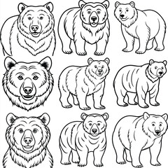 Obraz premium Cartoon vector set of brown grizzly bear, isolated on background. Flat design collection