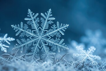 Intricate snowflakes capture winter's beauty in macro detail