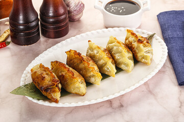 Fried Japanese stuffed dumplings - Gyoza