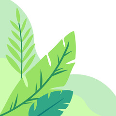 Aesthetic Plant Corner