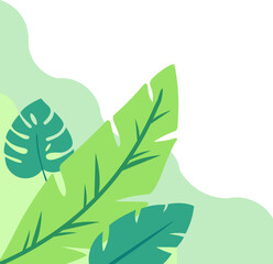 Aesthetic Plant Corner