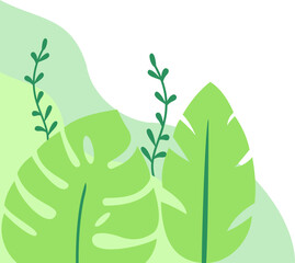 Aesthetic Plant Corner