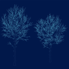 Minimal style cad tree line drawing Vector illustration in stroke fill in blue, set of graphics trees elements outline symbol for landscape design drawing, Side view, Architectural Drawings.